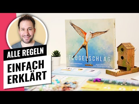 Regelvideo